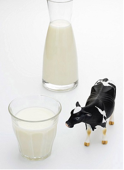 
			Sữa bò non – Những điều chưa biết            
        